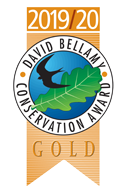 David-Bellamy